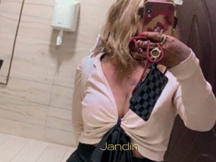 Jandin