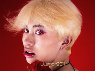 Junior2311