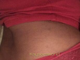 Kayseesworld