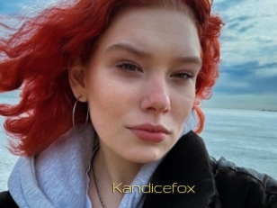Kandicefox