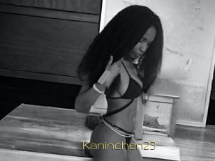 Kaninchen23