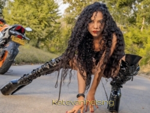 katevanhelsing Super Cul