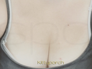 Kittyporch