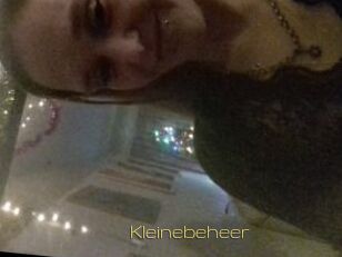 Kleinebeheer