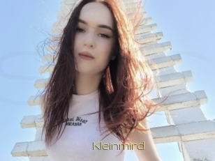Kleinmird