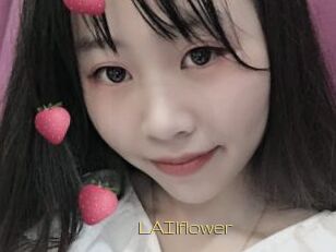LAIlflower