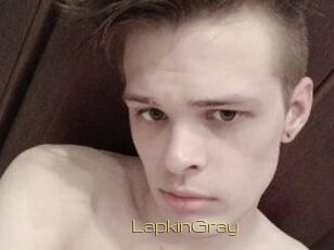 LapkinGray