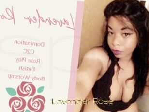 Lavender_Rose