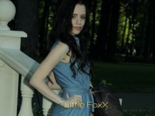 Little_FoxX