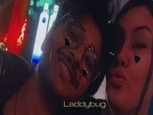 Laddybug