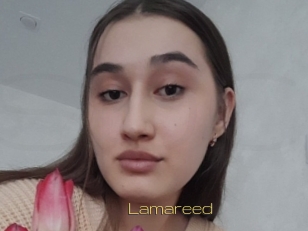 Lamareed