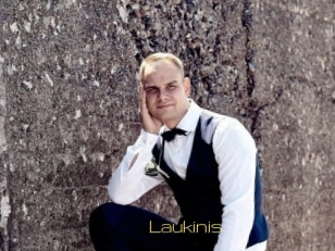 Laukinis
