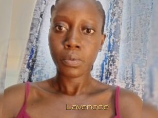Lavenode