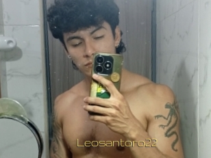 Leosantoro22