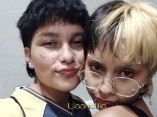 Liaandlilo