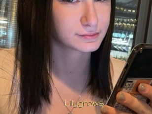 Lilygrows