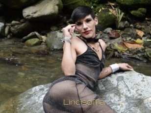 Lincisoffia