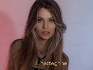 Linettegrine