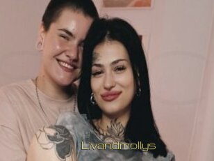 Livandmollys