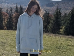 Lladybugg