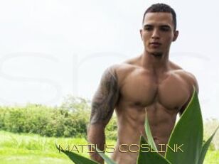MATIUS_COSLINK
