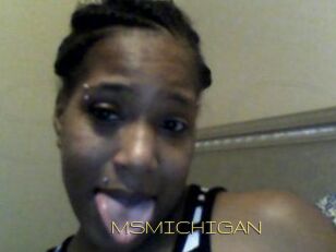 MSMICHIGAN