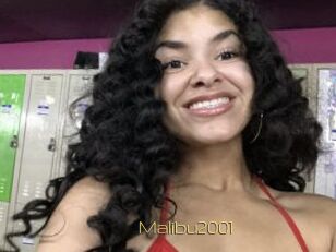Malibu2001