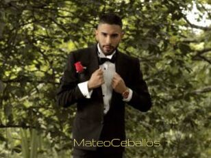 MateoCeballos