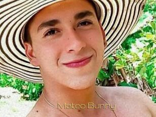 Mateo_Bunny