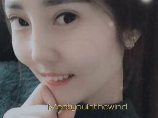 Meetyouinthewind