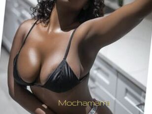 Mochamamii