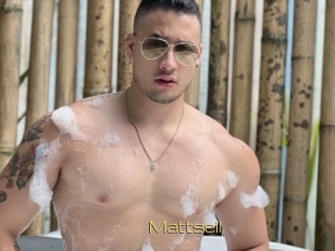 Mattseil
