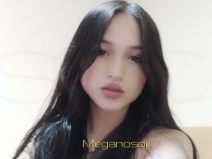 Meganosori