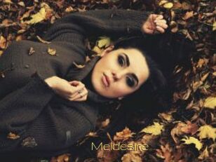 Meldesire