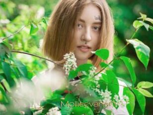 Mollieevans