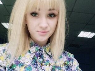 NiceKatty18