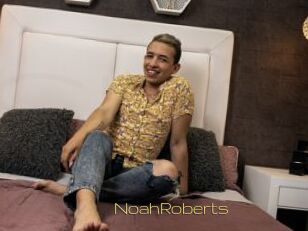 NoahRoberts