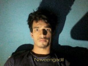 Naveengadil