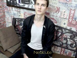 Nedcute