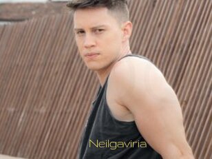 Neilgaviria