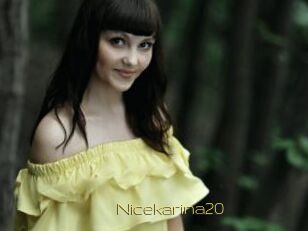 Nicekarina20