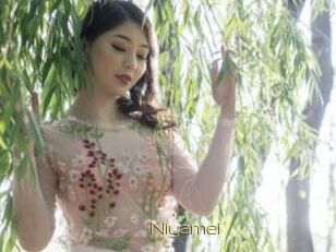 Niyamei