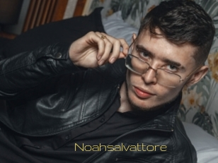 Noahsalvattore