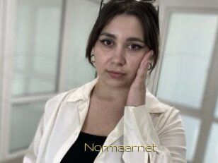 Normaarnet