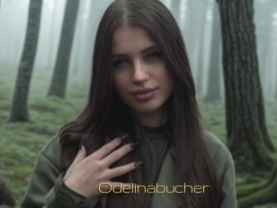 Odelinabucher