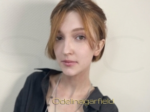 Odelinagarfield