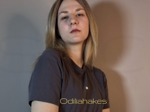 Odiliahakes