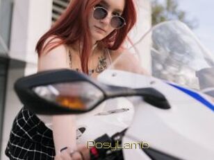 PosyLamb