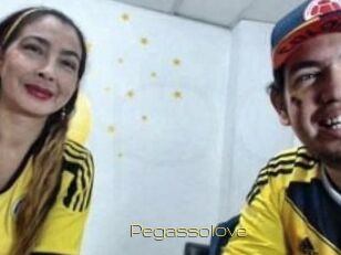 Pegasso_love