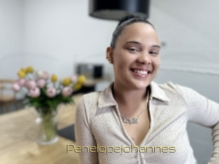 Penelopejohannes